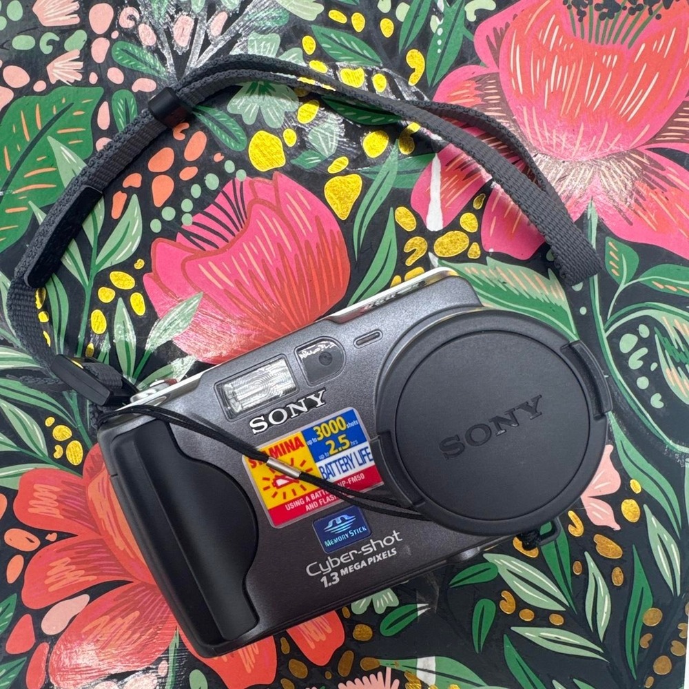 Sony Cyber-shot DSC-S30‎ Digital Camera – Compact Point-and-Shoot Camera